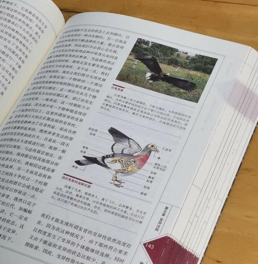 特惠：“改变人类历史进程丛书”（全新修订版）平装16开，全7册，亚当·斯密 等，江苏人民出版社2011年3月出版，印次不详，定价：443，售价：135。 商品图9