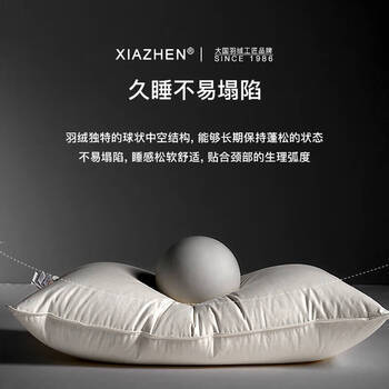 霞珍羽绒枕95%白鹅绒枕头100支全棉枕芯 单只装48*74cm 商品图1