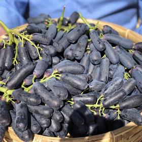 【蓝宝石•金手指黑提】EMS空运 脆爽可口 脆甜无核 无籽蓝宝石 美人指葡萄 黑加仑水果 3种规格任选