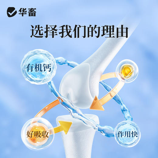 华畜兽药葡萄糖酸钙注射液兽用猪牛羊佝偻病软骨症产后瘫补钙针剂 商品图2