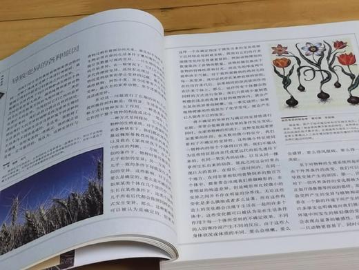 特惠：“改变人类历史进程丛书”（全新修订版）平装16开，全7册，亚当·斯密 等，江苏人民出版社2011年3月出版，印次不详，定价：443，售价：135。 商品图11