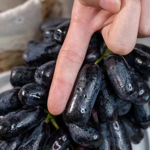 【蓝宝石•金手指黑提】EMS空运 脆爽可口 脆甜无核 无籽蓝宝石 美人指葡萄 黑加仑水果 3种规格任选 商品图1