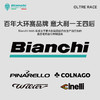 BIANCHI比安奇OLTRE RACE碳纤维公路车破风竞赛骑行碟刹公路车 商品缩略图2