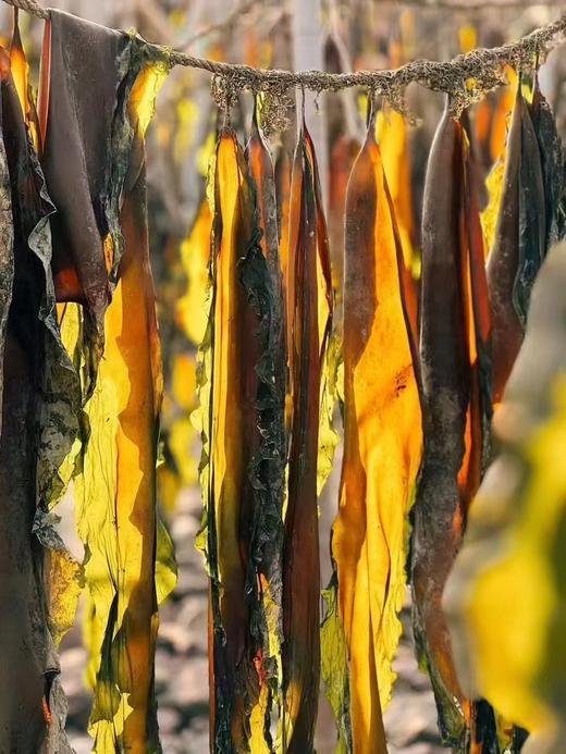 周三取货：【有机海带丝】一袋净重100克，山姆同款，性价比更高。 商品图1