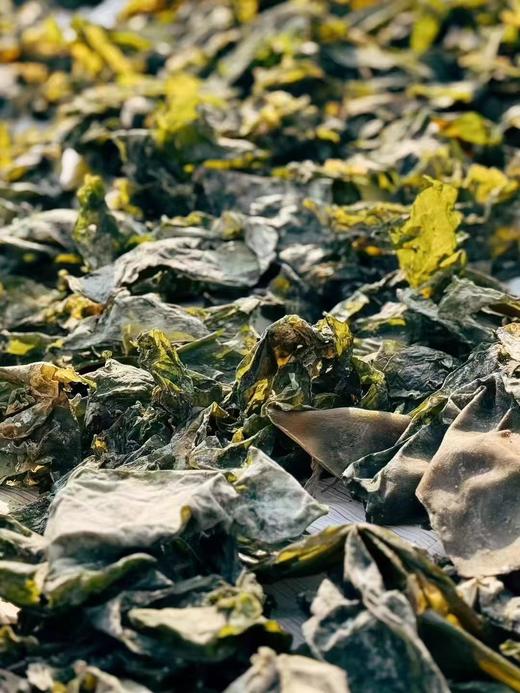 周三取货：【有机海带丝】一袋净重100克，山姆同款，性价比更高。 商品图2