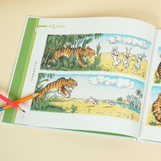 会飞的青蛙 商品图3