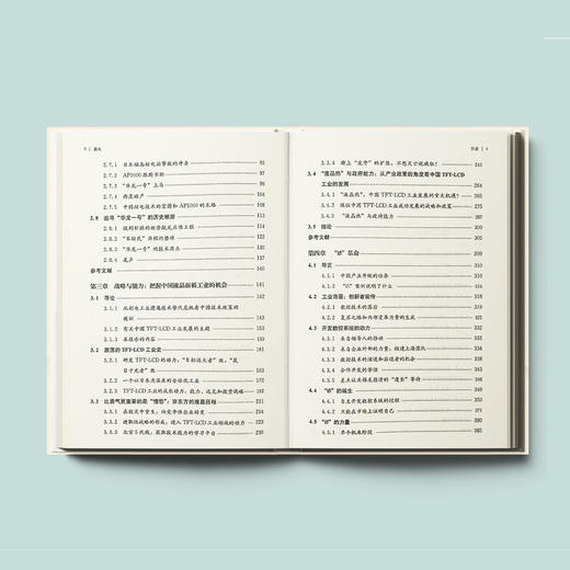 《新火：走向自主创新2》 商品图3