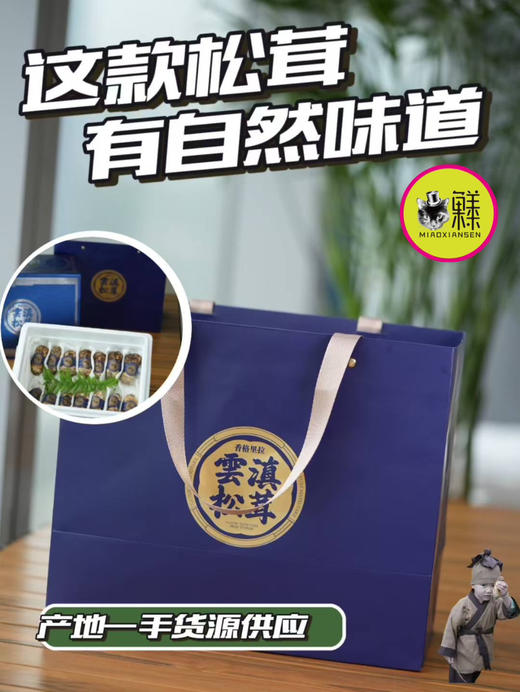 【香格里拉松茸】带礼盒✈️全国顺丰包邮📦（同城次日提） 商品图1