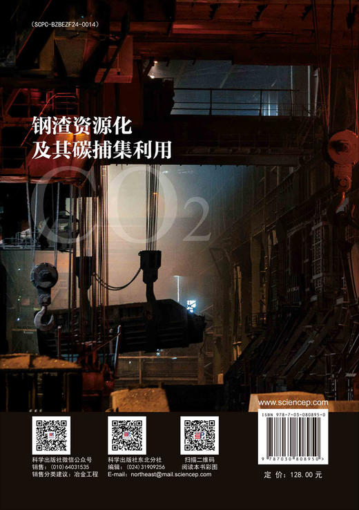 钢渣资源化及其碳捕集利用 商品图1