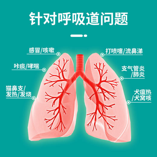 狗狗猫咪感冒药猫支鼻咳嗽打喷嚏流鼻涕宠物阿莫西林克拉维酸甲片 商品图6