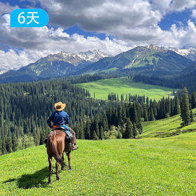 马背旅行·探秘库尔德宁原始森林6天5晚