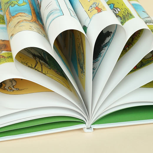 会飞的青蛙 商品图4