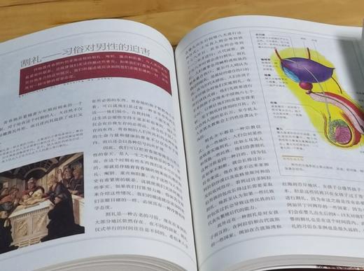 特惠：“改变人类历史进程丛书”（全新修订版）平装16开，全7册，亚当·斯密 等，江苏人民出版社2011年3月出版，印次不详，定价：443，售价：135。 商品图8