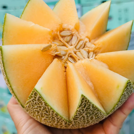 【超甜哈密瓜】新鲜到店，超甜！果肉细腻！脆甜爽口，哈密瓜，就是这个味！ 商品图3