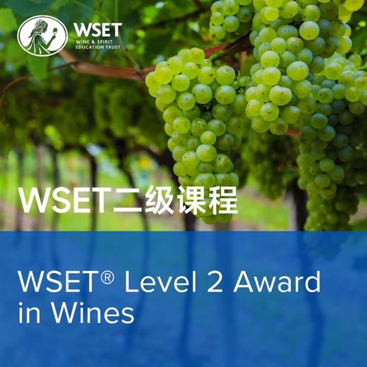 【Wset 二级】窥探葡萄酒世界的奥妙 商品图0
