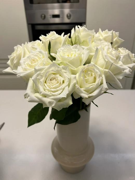 国产精品单头玫瑰坦尼克10支 商品图3