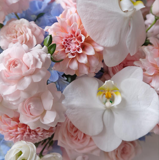 《似水流年》奶油桃子绣球仙子之吻粉荔枝抱抱桶 商品图8