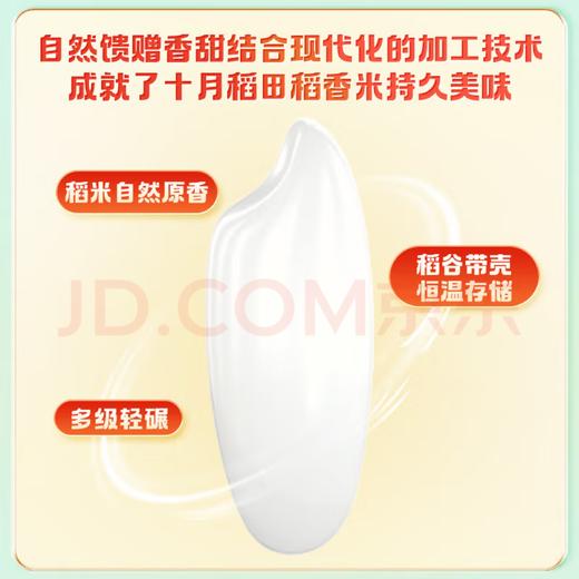 【金皇会59金币专享】十月稻田 当季新米 稻香米 10斤（东北大米 香米 5公斤/十斤） 商品图4