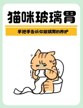 跟玻璃胃说拜拜！！