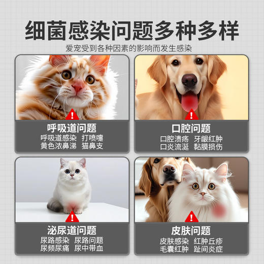狗狗猫咪感冒药猫支鼻咳嗽打喷嚏流鼻涕宠物阿莫西林克拉维酸甲片 商品图1