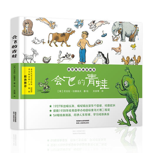 会飞的青蛙 商品图0