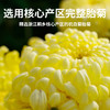 凤宁号【贡菊普洱】菊花熟普茶 袋泡茶 商品缩略图5
