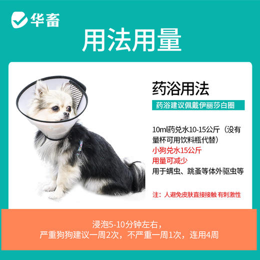 【积分兑换】华畜兽药 12.5%双甲脒溶液 杀虫药跳蚤螨虫蜱虫苍蝇寄生虫 猪牛羊 商品图2