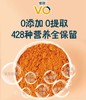 维傲·沙棘全果冻干粉 120g/桶 （6g* 20包）  全果营养不流失  酸甜适口不涩嘴 商品缩略图3