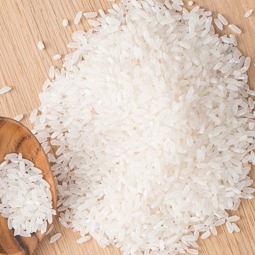 金龙鱼 乳玉皇妃壹品稻花香2.5KG 商品图2