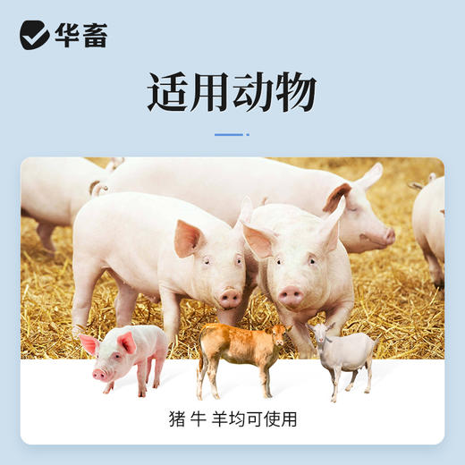 华畜恩诺沙星注射液10ml*10支 拉稀痢疾黄白痢肺炎咳喘 猪牛羊用 商品图2