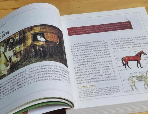 特惠：“改变人类历史进程丛书”（全新修订版）平装16开，全7册，亚当·斯密 等，江苏人民出版社2011年3月出版，印次不详，定价：443，售价：135。 商品图3