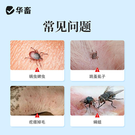 华畜兽用辛硫磷溶液癞螨灵除螨灵螨虫蜱虫跳蚤虱子禽畜体外驱虫药 商品图1