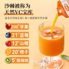 真宜健·沙棘胡萝卜汁 100g*10  富含天然维生素C  商品缩略图3