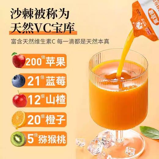 真宜健·沙棘胡萝卜汁 100g*10  富含天然维生素C  商品图3
