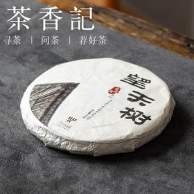 茶香记望天树普洱生茶018饼云南生普茶叶易武高杆古树山野韵