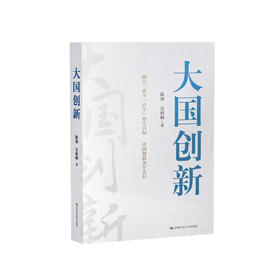 《大国创新》