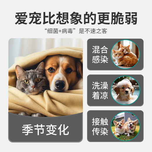 狗狗猫咪感冒药猫支鼻咳嗽打喷嚏流鼻涕宠物阿莫西林克拉维酸甲片 商品图7