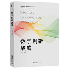 数字创新战略 王砚羽 编著 北京大学出版社 数字中国·数字经济创新规划教材
