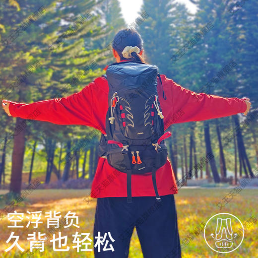 【超级秒杀！】艾王户外徒步登山包大容量36升超轻双肩包耐磨防泼水男女旅行背包 商品图3