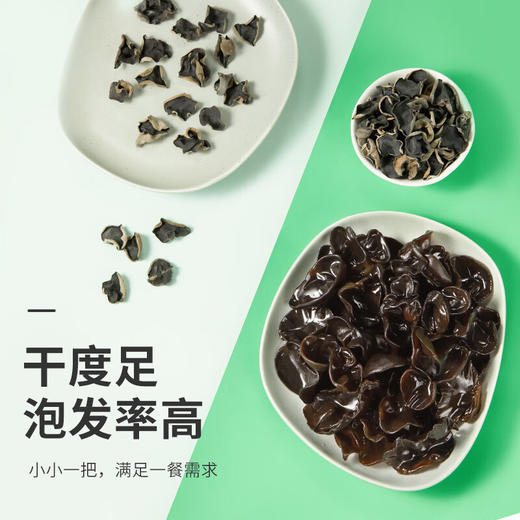 【金皇会89金币专享】十月稻田 东北黑木耳 500g 干木耳 黑龙江东宁特产 肉厚无根 火锅凉拌炒菜 商品图1