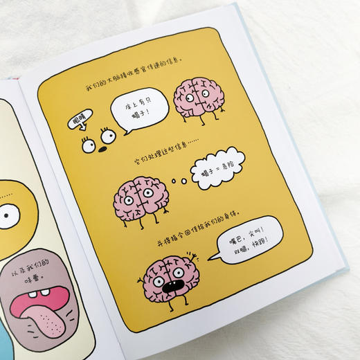 【奇想国】通识趣味科普漫画绘本2册：《我的大脑独一无二》&《小心，这些信息是假的》 商品图4