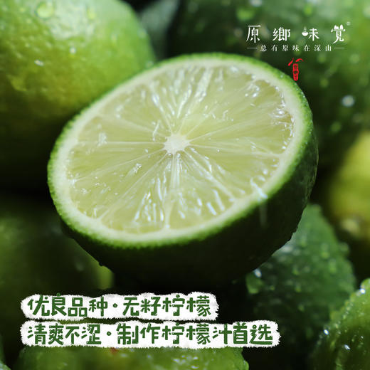 生态无籽柠檬（基地直发-圆通包邮）| 3斤装，来自福建漳州，生产者：戴胜利【合作生产，公平贸易】 商品图2