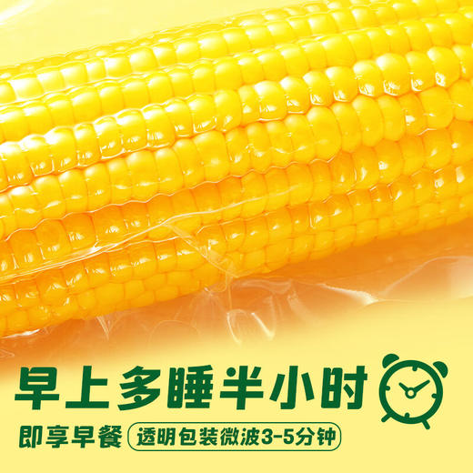 【金皇会66金币专享】十月稻田 黄糯玉米 3.52斤(220g*8根) 东北甜黏玉米棒 早餐苞米 真空包装 商品图3
