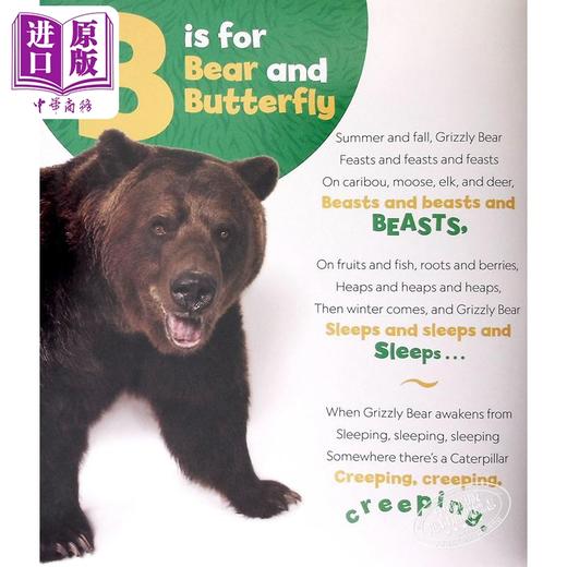 【中商原版】图片方舟ABC 美国国家地理Geographic Kids Photo Ark Abc 英文原版 儿童早教 动物字母表 亲子读物 精装 进口 商品图2