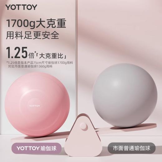 瑜伽球【YOTTOY】瑜伽球婴儿哄睡萝卜蹲哄娃神器儿童感统训练哄娃加厚防爆 商品图2
