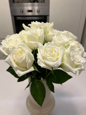 国产精品单头玫瑰坦尼克10支