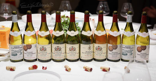 第194期丨瑰梦庄园上夜丘黑皮诺干红2022 商品图3