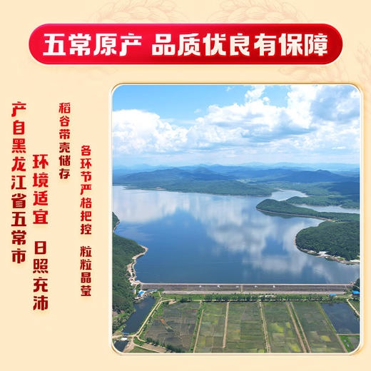 【金皇会69金币专享】十月稻田 当季新米 五常香米 五常大米 10斤（东北大米 5公斤/十斤） 商品图4