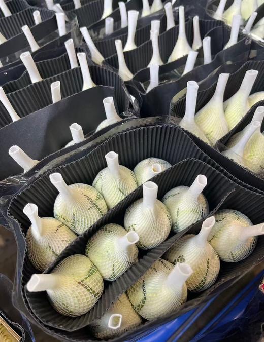 国产精品单头玫瑰坦尼克10支 商品图4