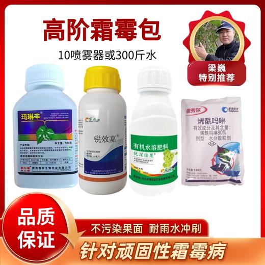 高阶霜霉包 商品图0